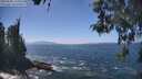 ./images/koeye/fitz-hugh/20260505/fitz-hugh20260505_141001M.jpg