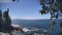 ./images/koeye/fitz-hugh/20260505/fitz-hugh20260505_141502M.jpg