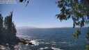 ./images/koeye/fitz-hugh/20260505/fitz-hugh20260505_143501M.jpg