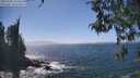./images/koeye/fitz-hugh/20260505/fitz-hugh20260505_144502M.jpg