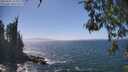 ./images/koeye/fitz-hugh/20260505/fitz-hugh20260505_145001M.jpg