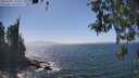 ./images/koeye/fitz-hugh/20260505/fitz-hugh20260505_145501M.jpg