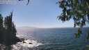 ./images/koeye/fitz-hugh/20260505/fitz-hugh20260505_150001M.jpg