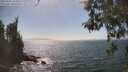 ./images/koeye/fitz-hugh/20260505/fitz-hugh20260505_153001M.jpg