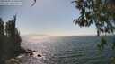 ./images/koeye/fitz-hugh/20260505/fitz-hugh20260505_153502M.jpg