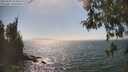 ./images/koeye/fitz-hugh/20260505/fitz-hugh20260505_154502M.jpg