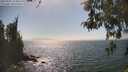 ./images/koeye/fitz-hugh/20260505/fitz-hugh20260505_155001M.jpg