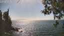 ./images/koeye/fitz-hugh/20260505/fitz-hugh20260505_155501M.jpg