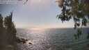 ./images/koeye/fitz-hugh/20260505/fitz-hugh20260505_160002M.jpg