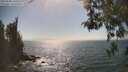 ./images/koeye/fitz-hugh/20260505/fitz-hugh20260505_160501M.jpg