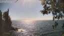 ./images/koeye/fitz-hugh/20260505/fitz-hugh20260505_161001M.jpg