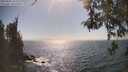 ./images/koeye/fitz-hugh/20260505/fitz-hugh20260505_162001M.jpg