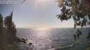 ./images/koeye/fitz-hugh/20260505/fitz-hugh20260505_162501M.jpg
