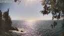 ./images/koeye/fitz-hugh/20260505/fitz-hugh20260505_163001M.jpg
