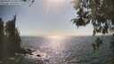 ./images/koeye/fitz-hugh/20260505/fitz-hugh20260505_163501M.jpg