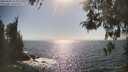 ./images/koeye/fitz-hugh/20260505/fitz-hugh20260505_164001M.jpg