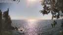 ./images/koeye/fitz-hugh/20260505/fitz-hugh20260505_164501M.jpg