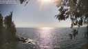 ./images/koeye/fitz-hugh/20260505/fitz-hugh20260505_165501M.jpg