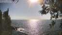 ./images/koeye/fitz-hugh/20260505/fitz-hugh20260505_170501M.jpg