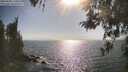 ./images/koeye/fitz-hugh/20260505/fitz-hugh20260505_171001M.jpg