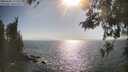 ./images/koeye/fitz-hugh/20260505/fitz-hugh20260505_171501M.jpg