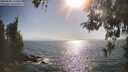 ./images/koeye/fitz-hugh/20260505/fitz-hugh20260505_173002M.jpg