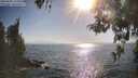./images/koeye/fitz-hugh/20260505/fitz-hugh20260505_174002M.jpg