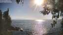 ./images/koeye/fitz-hugh/20260505/fitz-hugh20260505_174501M.jpg