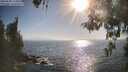 ./images/koeye/fitz-hugh/20260505/fitz-hugh20260505_175001M.jpg