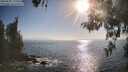 ./images/koeye/fitz-hugh/20260505/fitz-hugh20260505_180001M.jpg