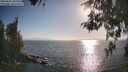 ./images/koeye/fitz-hugh/20260505/fitz-hugh20260505_182002M.jpg