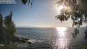 ./images/koeye/fitz-hugh/20260505/fitz-hugh20260505_182501M.jpg