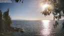 ./images/koeye/fitz-hugh/20260505/fitz-hugh20260505_183001M.jpg