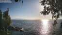 ./images/koeye/fitz-hugh/20260505/fitz-hugh20260505_183501M.jpg