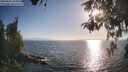 ./images/koeye/fitz-hugh/20260505/fitz-hugh20260505_184002M.jpg
