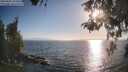 ./images/koeye/fitz-hugh/20260505/fitz-hugh20260505_184501M.jpg
