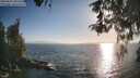 ./images/koeye/fitz-hugh/20260505/fitz-hugh20260505_185501M.jpg