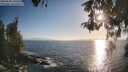 ./images/koeye/fitz-hugh/20260505/fitz-hugh20260505_190501M.jpg