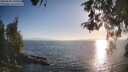 ./images/koeye/fitz-hugh/20260505/fitz-hugh20260505_191001M.jpg