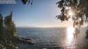 ./images/koeye/fitz-hugh/20260505/fitz-hugh20260505_191501M.jpg