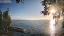 ./images/koeye/fitz-hugh/20260505/fitz-hugh20260505_193001M.jpg
