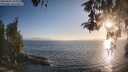 ./images/koeye/fitz-hugh/20260505/fitz-hugh20260505_194001M.jpg