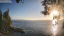 ./images/koeye/fitz-hugh/20260505/fitz-hugh20260505_194501M.jpg