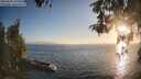 ./images/koeye/fitz-hugh/20260505/fitz-hugh20260505_195001M.jpg