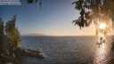 ./images/koeye/fitz-hugh/20260505/fitz-hugh20260505_200501M.jpg