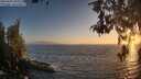 ./images/koeye/fitz-hugh/20260505/fitz-hugh20260505_203002M.jpg