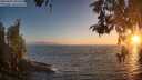 ./images/koeye/fitz-hugh/20260505/fitz-hugh20260505_203501M.jpg