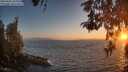 ./images/koeye/fitz-hugh/20260505/fitz-hugh20260505_204501M.jpg