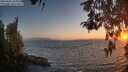 ./images/koeye/fitz-hugh/20260505/fitz-hugh20260505_205002M.jpg
