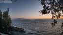 ./images/koeye/fitz-hugh/20260505/fitz-hugh20260505_210501M.jpg